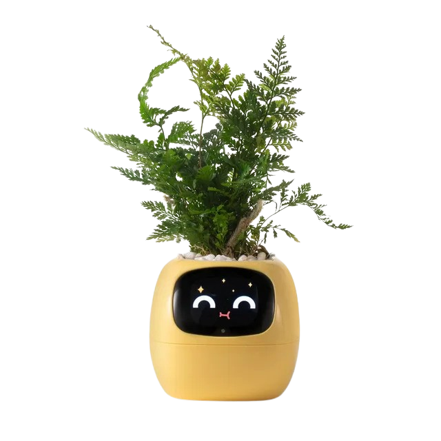 Tuya Ivy Smart Planter