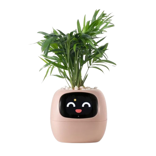 Tuya Ivy Smart Planter