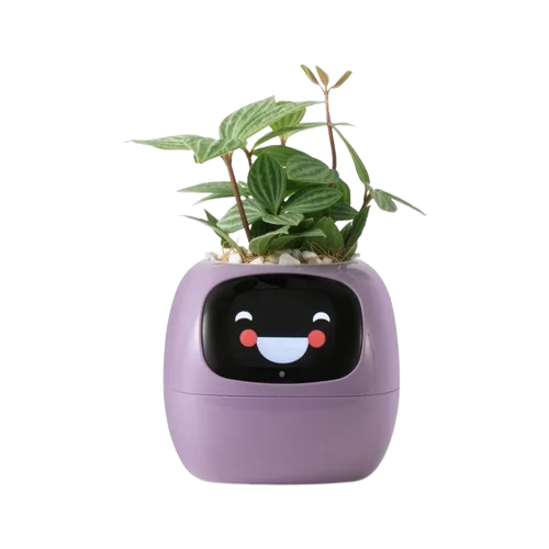 Tuya Ivy Smart Planter