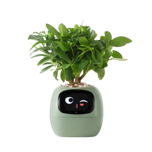 Tuya Ivy Smart Planter